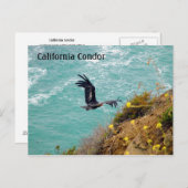 カリフォルニア・コンドルのポストカード ポストカード (正面/裏面)