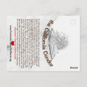 カリフォルニア・コンドルは雄大な鳥だ–2- ポストカード (裏面)