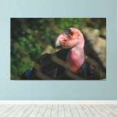 カリフォルニア・コンドル キャンバスプリント (インサイチュ (ウッドフロア))