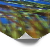 カリフォルニア・コンドル ポスター (角)