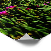 カリフォルニア・コースト・フラワーポスター ポスター (角)