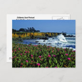 カリフォルニア・コースト・ポストカード ポストカード (正面/裏面)