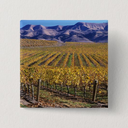 カリフォルニア、サンルイス·オビスポ郡、エドナ·バレー 缶バッジ (正面)