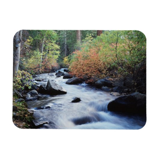 カリフォルニア、シエラネバダ山脈11 マグネット (横)