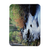 カリフォルニア、シエラネバダ山脈11 マグネット (縦)