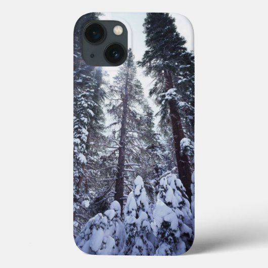 カリフォルニア、シエラネバダ山脈9 Case-Mate iPhoneケース (裏面)