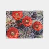 カリフォルニア、ジョシュアツリー国立公園、クラレット フリースブランケット (正面(横))