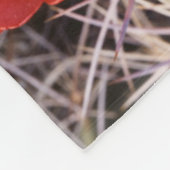 カリフォルニア、ジョシュアツリー国立公園、クラレット フリースブランケット (角)