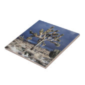 カリフォルニア·ジョシュア·ツリー国立公園 タイル (側面)