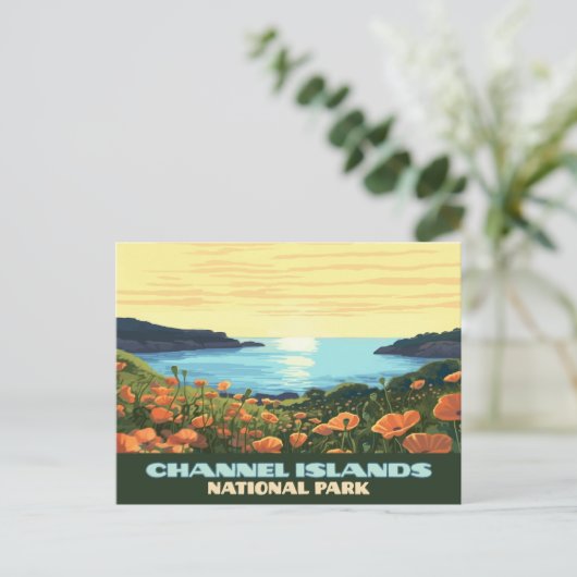 カリフォルニア チャンネル諸島国立公園 密輸人の Cove ポストカード (スタンド正面)