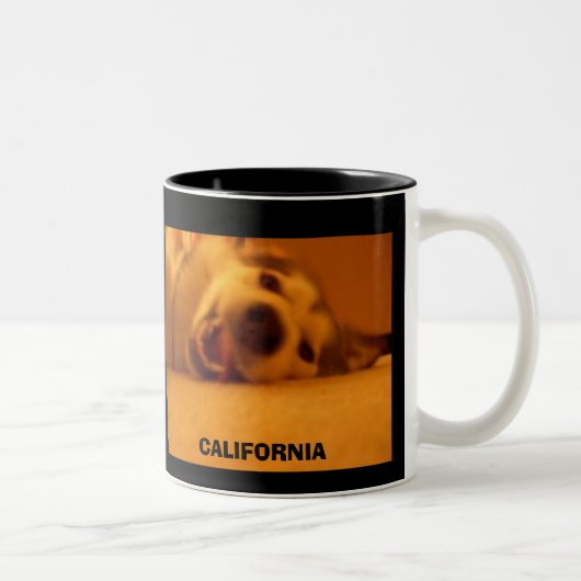 カリフォルニア ツートーンマグカップ (右)