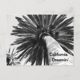 カリフォルニア・ドリーミンのはがき ポストカード