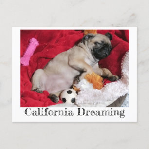 カリフォルニア・ドリーミング・ピーナッツ・ザ・パグ ポストカード