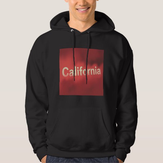 カリフォルニア ドリーム バイブス パーカ (正面)