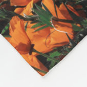 カリフォルニア、ビッグシュルコースト、カリフォルニアポピー フリースブランケット (角)