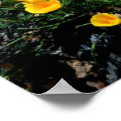 カリフォルニア、ビッグシュルコースト、セントラルコースト1 ポスター (角)