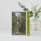 カリフォルニア、ブライダルベール秋 ポストカード (スタンド正面)