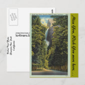 カリフォルニア、ブライダルベール秋 ポストカード (正面/裏面)