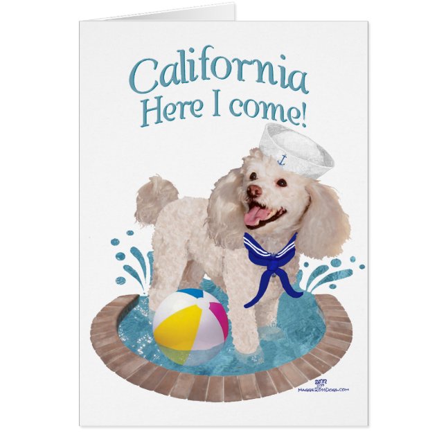 カリフォルニア・プードル (正面)