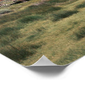 カリフォルニア、ボディ州歴史公園、古い ポスター (角)