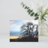 カリフォルニア ポストカード (スタンド正面)