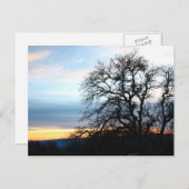 カリフォルニア ポストカード (正面/裏面)