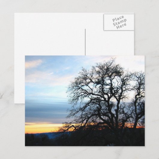 カリフォルニア ポストカード (正面/裏面)