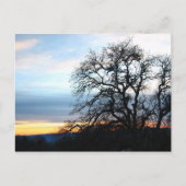 カリフォルニア ポストカード (正面)