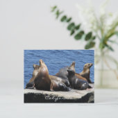 カリフォルニア ポストカード (スタンド正面)