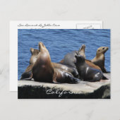 カリフォルニア ポストカード (正面/裏面)