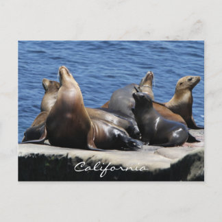カリフォルニア ポストカード