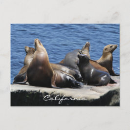 カリフォルニア ポストカード