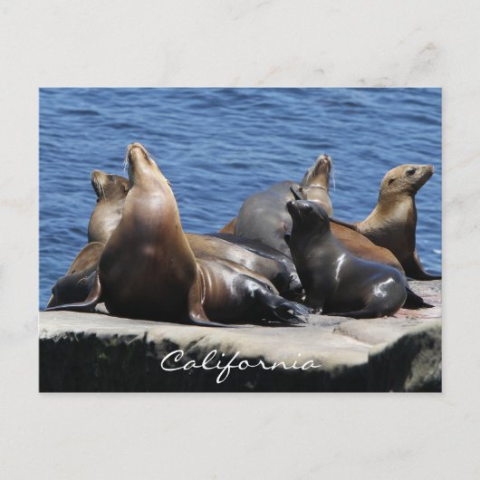 カリフォルニア ポストカード (正面)