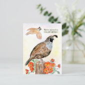 カリフォルニア ポストカード (スタンド正面)