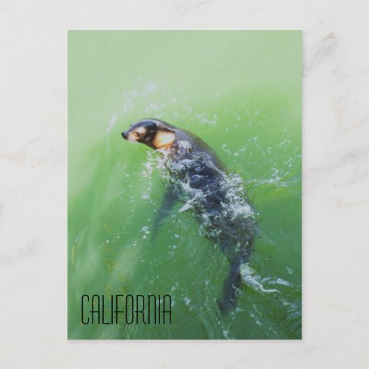カリフォルニア ポストカード (正面)