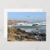 カリフォルニア ポストカード (正面/裏面)