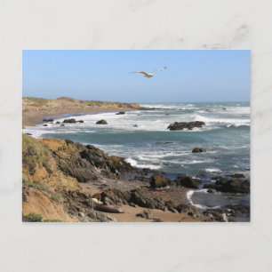 カリフォルニア ポストカード