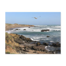 カリフォルニア