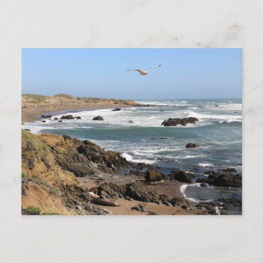 カリフォルニア ポストカード (正面)