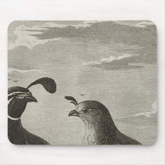 カリフォルニア マウスパッド (正面)