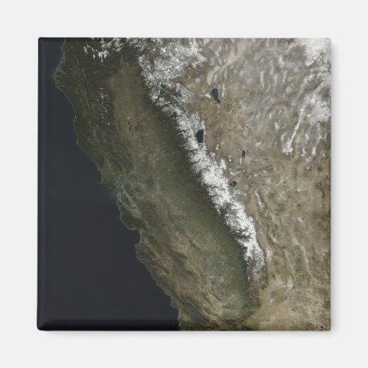 カリフォルニア マグネット (正面)