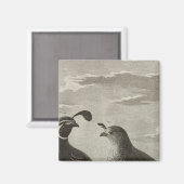 カリフォルニア マグネット (正面/裏面)