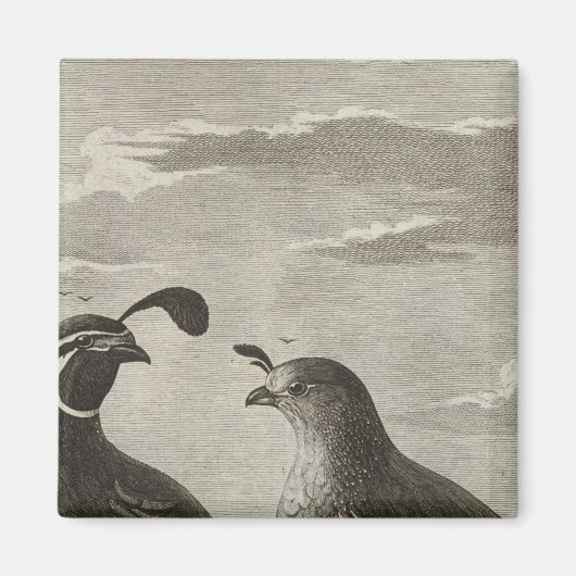 カリフォルニア マグネット (正面)