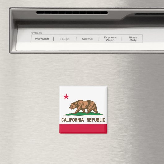 カリフォルニア マグネット (インサイチュ (食洗機))