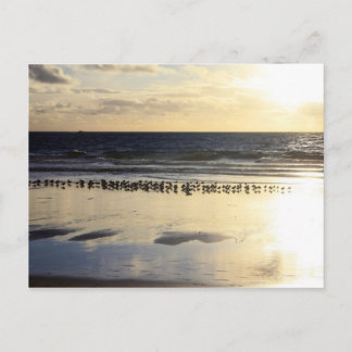 カリフォルニア - マンハッタン ビーチ。 K ポストカード