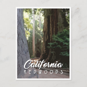 カリフォルニア・レッドウッズ ポストカード