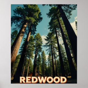カリフォルニア レッドウッド国立公園 ヴィンテージ ポスター