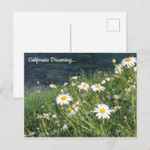 カリフォルニア・ワイルドフラワーズ、ラジョラコーブ ポストカード (正面/裏面)