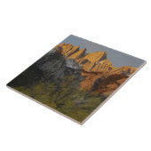 カリフォルニア、山ホイットニー、稲葉国有林3 タイル (側面)