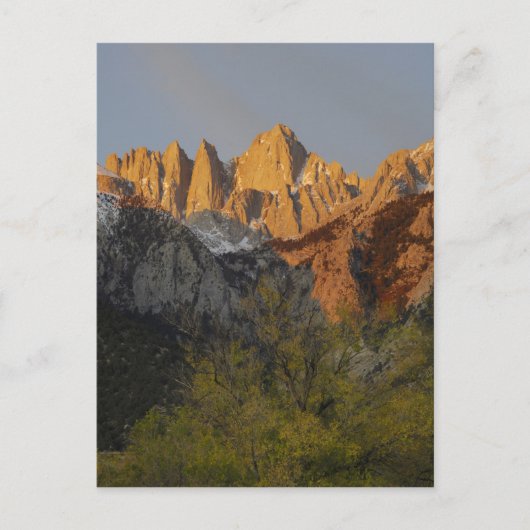カリフォルニア、山ホイットニー、稲葉国有林3 ポストカード (正面)